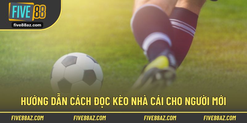 Hướng dẫn chi tiết cách đọc kèo nhà cái cho người mới