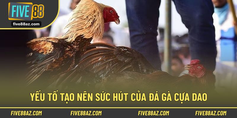 Một số yếu tố giúp tạo nên sức hút của trò chơi đá gà cựa dao