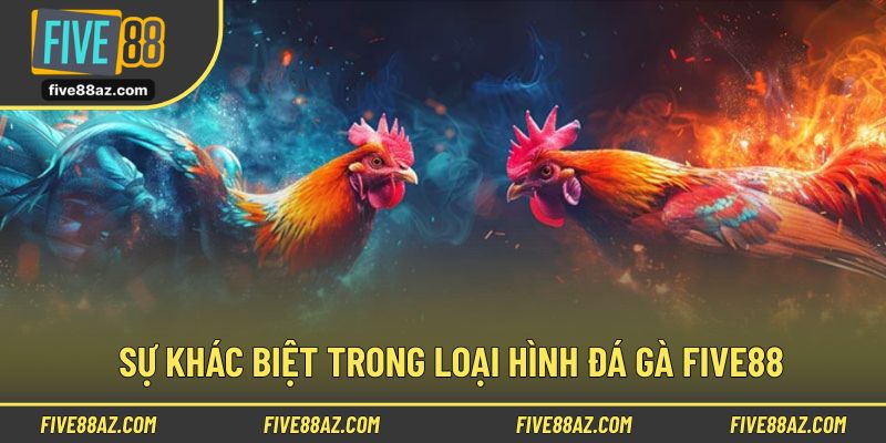 Sự khác biệt trong loại hình đá gà FIVE88